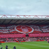 Crowd Surfer Flags - Image 1