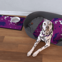 Pet Blanket - Image 2